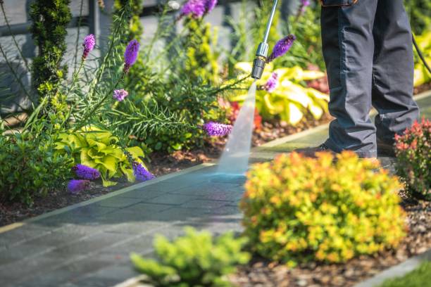  Sammamish, WA Pressure Washing Pros
