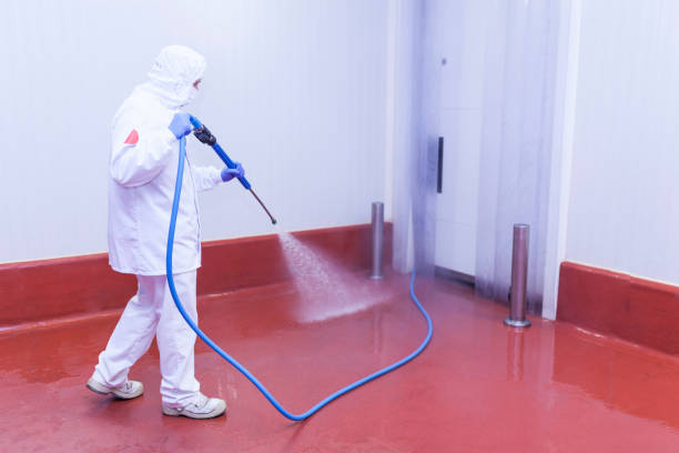Paint Preparation in Sammamish, WA