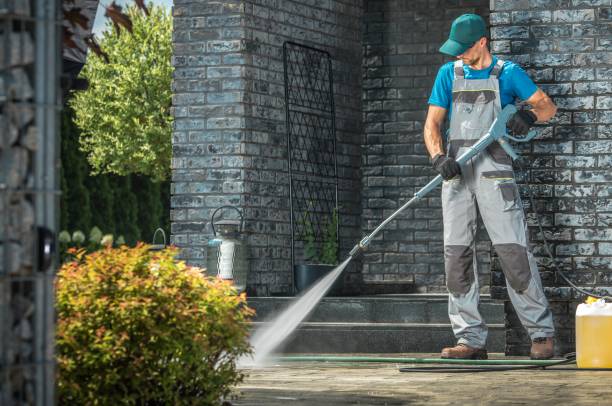 Animal Enclosure Cleaning in Sammamish, WA