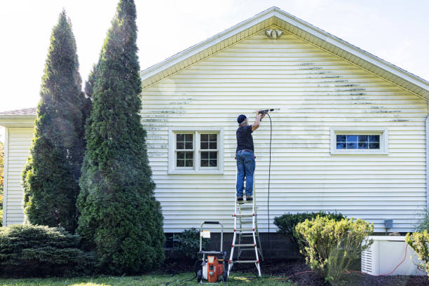 Best Roof Washing  in Sammamish, WA